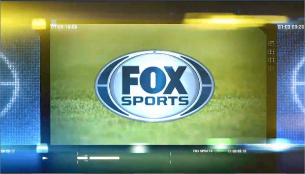 Fabrizio Salini circa l'offerta di Fox Sports per i diritti della serie A